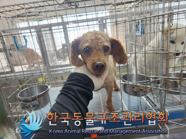 한국동물구조관리협회_441560202300730